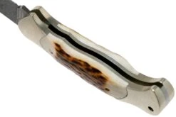 Böker Scout Spearpoint Stag Damascus 112201DAM Corne De Cerf, Couteau De Poche -Pas Cher Lame Pro Magasin BO112201DAM 05 boker