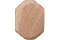 Eden Dento Petty 12 Cm, Acier Aogami -Pas Cher Lame Pro Magasin EQ2070 112 05 eden dento petty eq2070 112 05