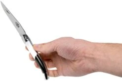 Forge De Laguiole Airbus A350 1211 INAIRBUS Couteau Laguiole -Pas Cher Lame Pro Magasin LA1211INAIRBUS 07 forge de laguiole