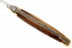 Forge De Laguiole 1211PI, Bois De Pistachier -Pas Cher Lame Pro Magasin LA1211PI 04 forge de laguiole vouwmes la1211pi d4