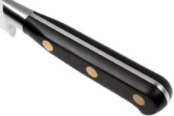 Lion Sabatier Idéal Couteau à Trancher La Viande 25 Cm, 712680 -Pas Cher Lame Pro Magasin SA1386 10 05 lion sabatier ideal sa1386 10 05