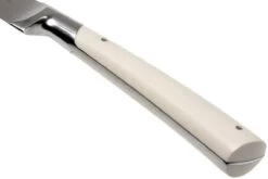 Lion Sabatier Edonist Perle Couteau à Trancher La Viande 20 Cm, Blanc, 806881 -Pas Cher Lame Pro Magasin SA806881 04 lion sabatier edonist perie sa806881 04
