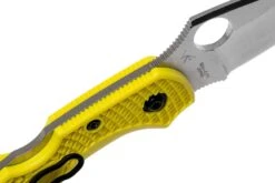 Spyderco Dragonfly 2 Salt C28PYL2 Couteau De Poche -Pas Cher Lame Pro Magasin SPC28PYL2 06 spyderco v202106