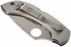 Spyderco Dragonfly C28P Couteau De Poche -Pas Cher Lame Pro Magasin SPC28P 03 spyderco dragonfly rvs spc28p d3