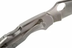 Spyderco Dragonfly C28P Couteau De Poche -Pas Cher Lame Pro Magasin SPC28P 04 spyderco dragonfly rvs spc28p d4