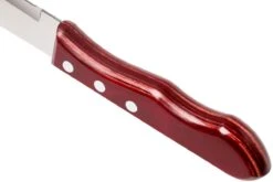 Tramontina Churrasco Set De 6 Couteaux à Steak Jumbo, 29899-164 10 Tramontina Churrasco Set De 6 Couteaux à Steak Jumbo, 29899-164 -Pas Cher Lame Pro Magasin TC29899 164 04 tramontina churasso tc29899 164 04