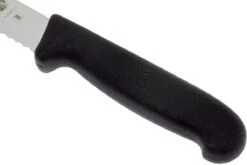 Victorinox Fibrox Couteau à Pain 21 Cm 5.2533.21 -Pas Cher Lame Pro Magasin VT5 2533 21 05 victorinox fibrox vt5 2533 21 05