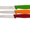 Victorinox SwissClassic Couteaux à Légumes, Ensemble De 3, 6.7116.32