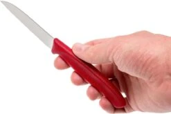 Victorinox SwissClassic Couteaux à Légumes, Ensemble De 3, 6.7116.32 9 Victorinox SwissClassic Couteaux à Légumes, Ensemble De 3, 6.7116.32 -Pas Cher Lame Pro Magasin VT6 7116 32 05 victorinox vt6 7116 32 05