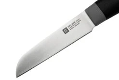 Zwilling Now S 1009646 Couteau à Légumes, 9 Cm -Pas Cher Lame Pro Magasin ZW1009646 03 zwilling