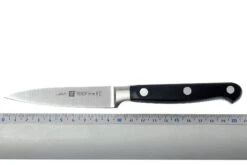 Zwilling - Professional « S » Couteau à Larder Et à Garnir 10 Cm -Pas Cher Lame Pro Magasin ZW31020 100 04 zwilling 31020 10 officemes d4