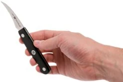 Zwilling Gourmet Couteau à éplucher Bec D'oiseau 6 Cm, 36110-061 11 Zwilling Gourmet Couteau à éplucher Bec D'oiseau 6 Cm, 36110-061 -Pas Cher Lame Pro Magasin ZW36110 061 0 06 zwilling gourmet zw36110 061 0 06